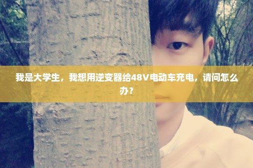 我是大学生，我想用逆变器给48V电动车充电，请问怎么办？