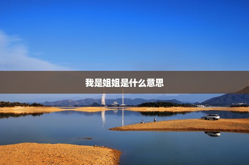 我是姐姐是什么意思