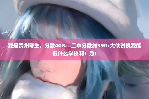 我是贵州考生，分数408…二本分数线390:大伙说说我能报什么学校啊！急！