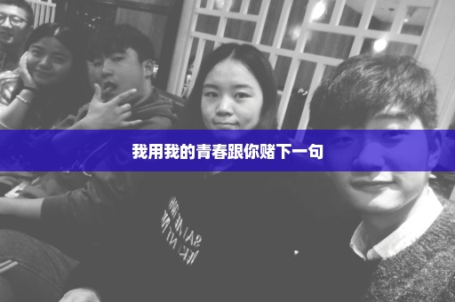 我用我的青春跟你赌下一句