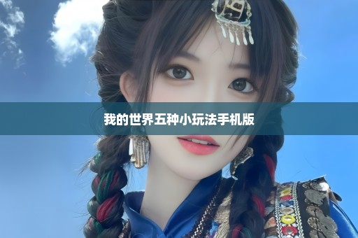 我的世界五种小玩法手机版