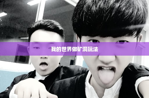 我的世界做矿洞玩法