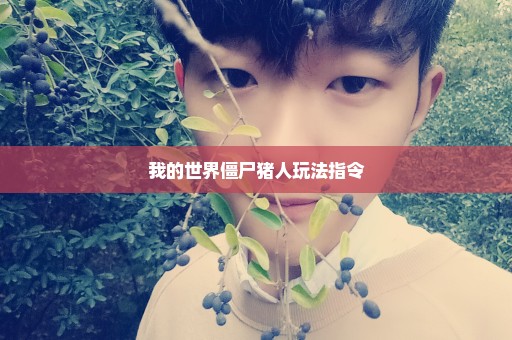 我的世界僵尸猪人玩法指令