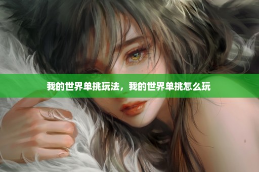 我的世界单挑玩法，我的世界单挑怎么玩 