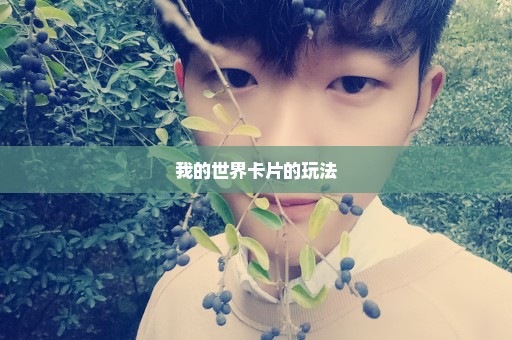 我的世界卡片的玩法