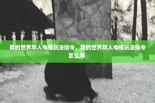 我的世界双人电梯玩法指令，我的世界双人电梯玩法指令怎么用 