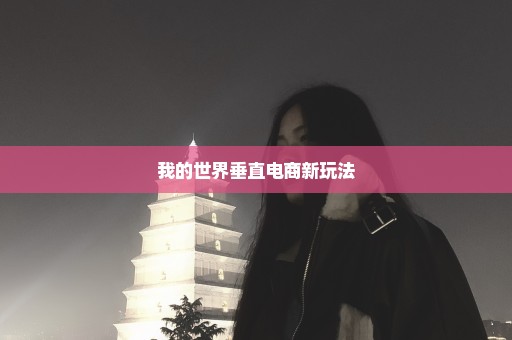我的世界垂直电商新玩法