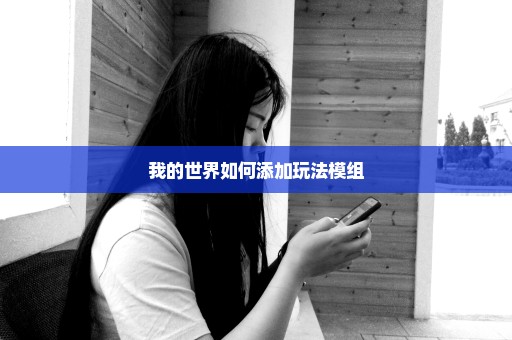 我的世界如何添加玩法模组
