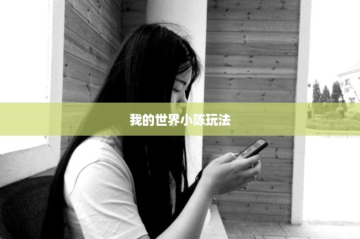 我的世界小陈玩法
