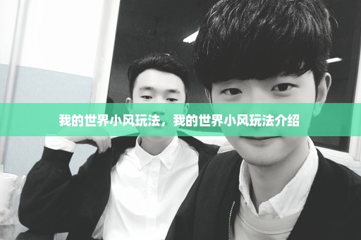 我的世界小风玩法，我的世界小风玩法介绍 