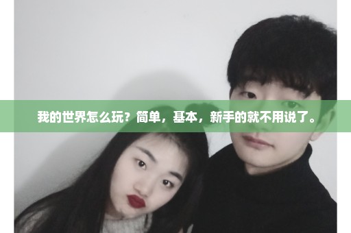 我的世界怎么玩？简单，基本，新手的就不用说了。