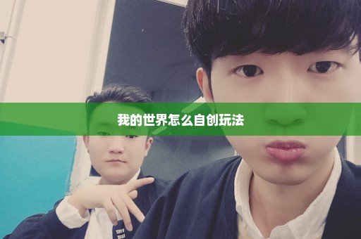 我的世界怎么自创玩法