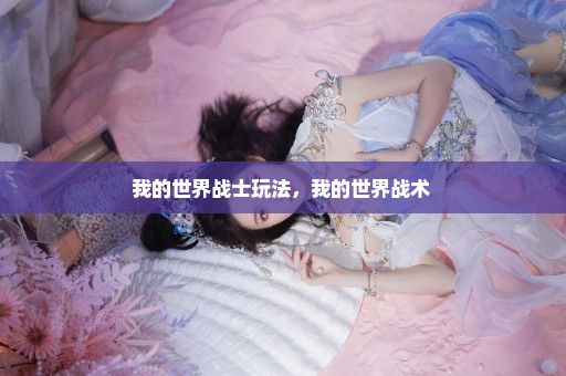 我的世界战士玩法，我的世界战术 