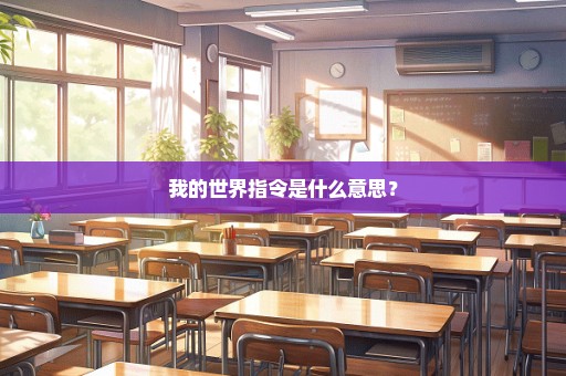 我的世界指令是什么意思？