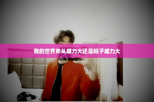 我的世界斧头威力大还是稿子威力大