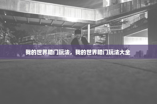 我的世界暗门玩法，我的世界暗门玩法大全 