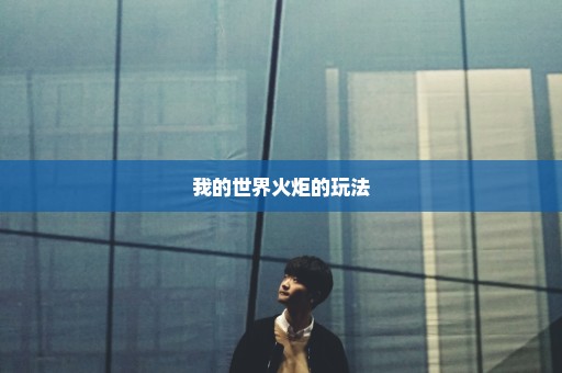 我的世界火炬的玩法