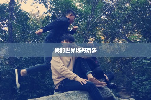 我的世界炼丹玩法