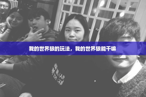 我的世界狼的玩法，我的世界狼能干嘛 