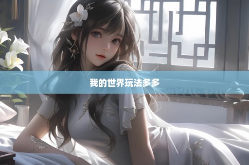 我的世界玩法多多