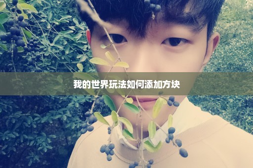 我的世界玩法如何添加方块