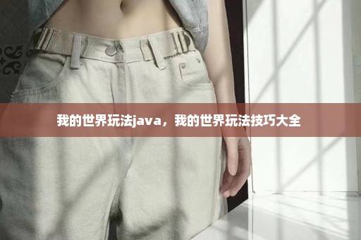 我的世界玩法java，我的世界玩法技巧大全 