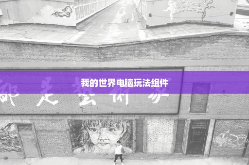我的世界电脑玩法组件