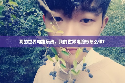 我的世界电路玩法，我的世界电路板怎么做? 