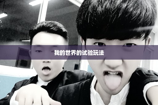 我的世界的试验玩法