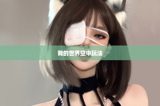 我的世界空中玩法