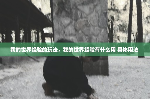 我的世界经验的玩法，我的世界经验有什么用 具体用法 