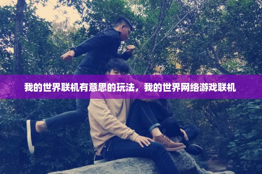我的世界联机有意思的玩法，我的世界网络游戏联机 