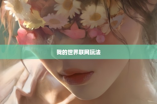 我的世界联网玩法