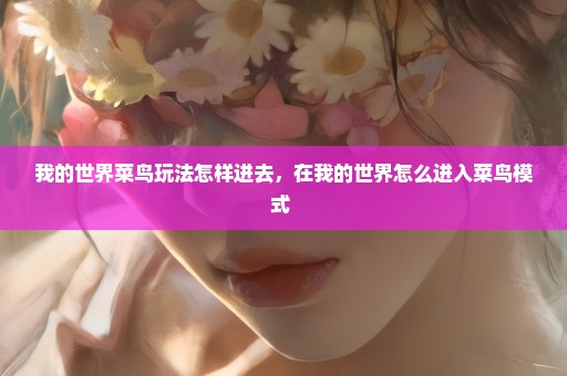 我的世界菜鸟玩法怎样进去，在我的世界怎么进入菜鸟模式 