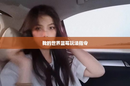 我的世界蓝莓玩法指令