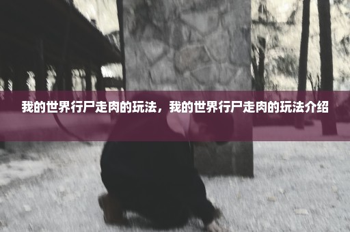 我的世界行尸走肉的玩法，我的世界行尸走肉的玩法介绍 