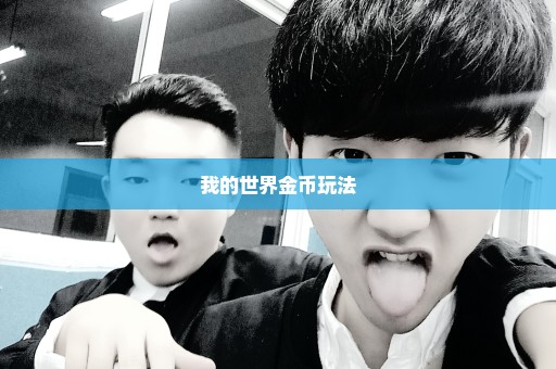 我的世界金币玩法