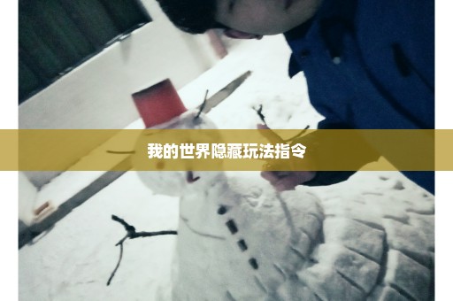 我的世界隐藏玩法指令