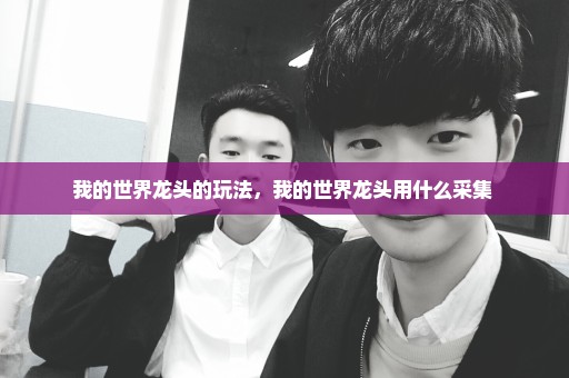 我的世界龙头的玩法，我的世界龙头用什么采集 