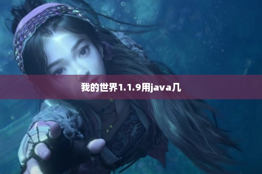 我的世界1.1.9用java几
