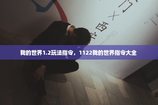 我的世界1.2玩法指令，1122我的世界指令大全 