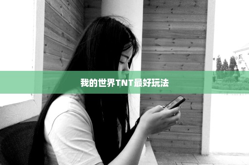 我的世界TNT最好玩法