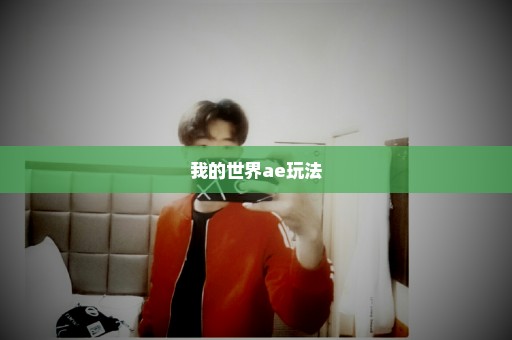 我的世界ae玩法