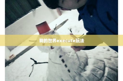 我的世界execute玩法