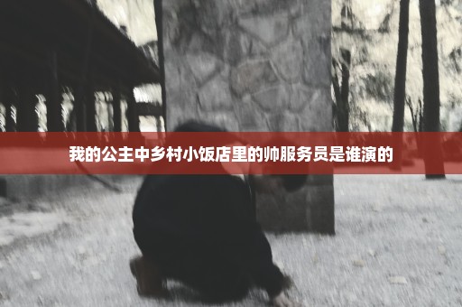 我的公主中乡村小饭店里的帅服务员是谁演的