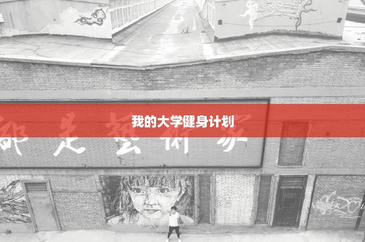 我的大学健身计划