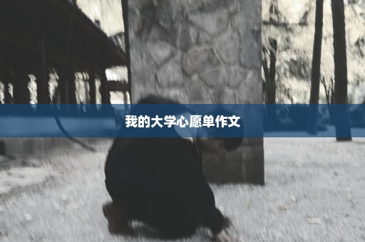 我的大学心愿单作文