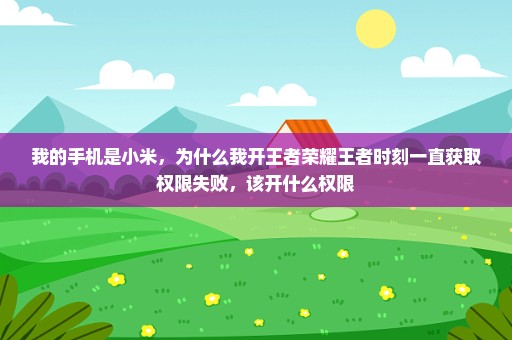 我的手机是小米，为什么我开王者荣耀王者时刻一直获取权限失败，该开什么权限