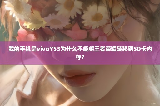 我的手机是vivoY53为什么不能将王者荣耀转移到SD卡内存？