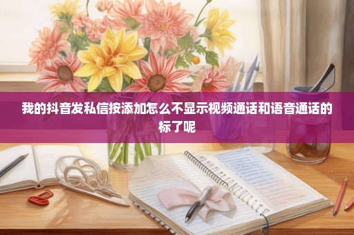我的抖音发私信按添加怎么不显示视频通话和语音通话的标了呢